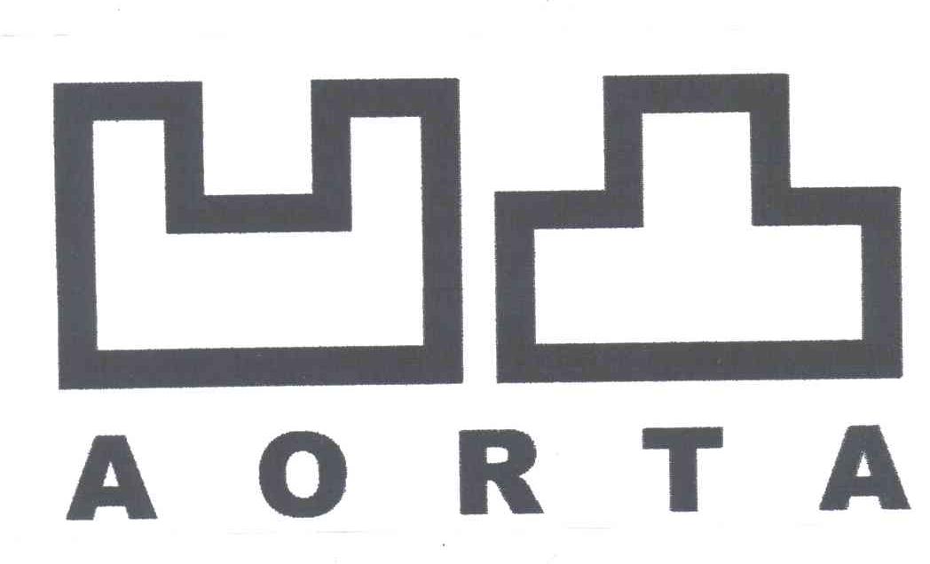 凹凸;AORTA