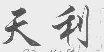天利