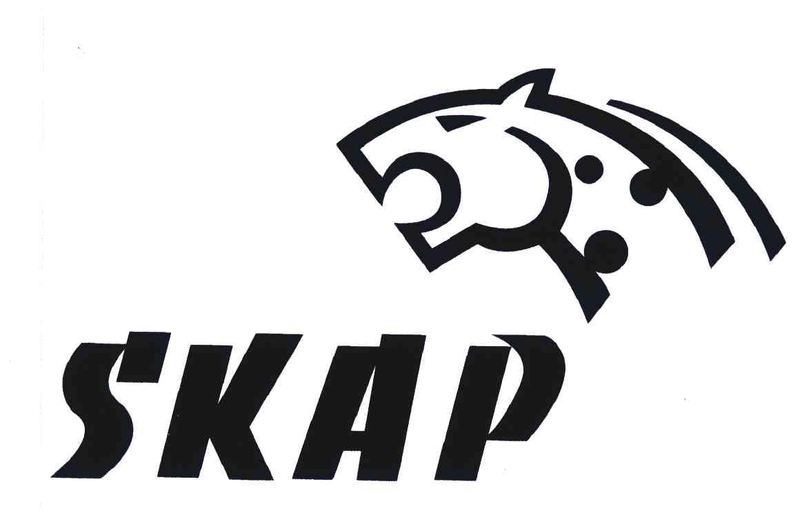 SKAP及图