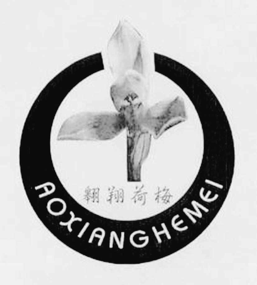 翱翔荷梅