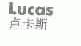 卢卡斯;LUCAS