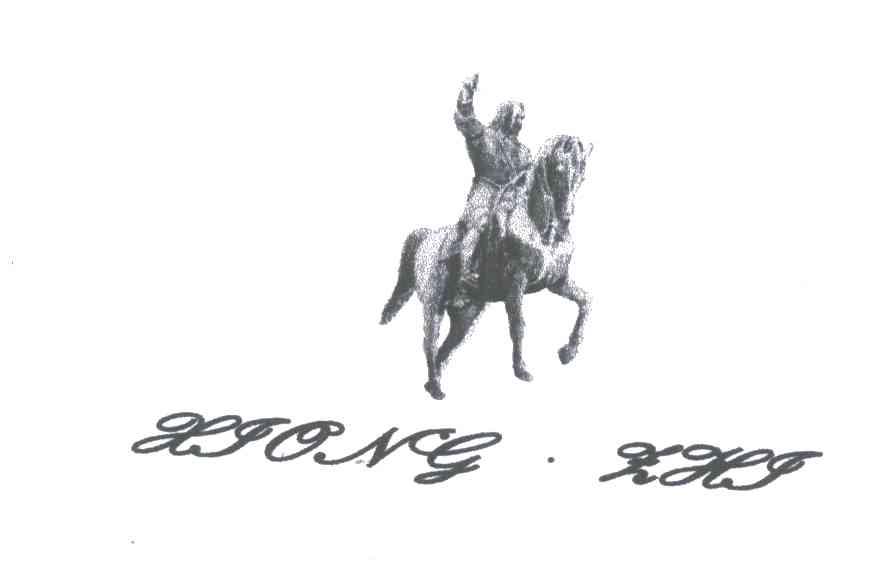 XJONG HXJ