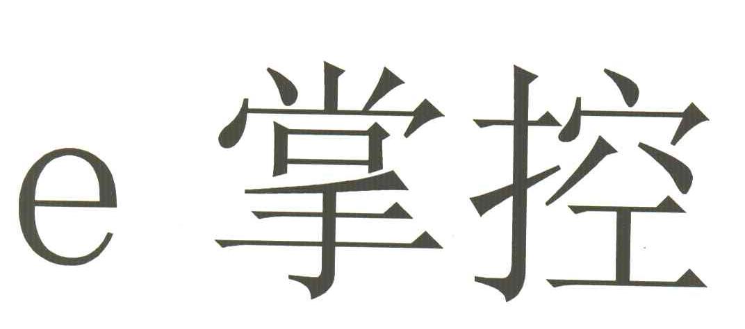 E掌控