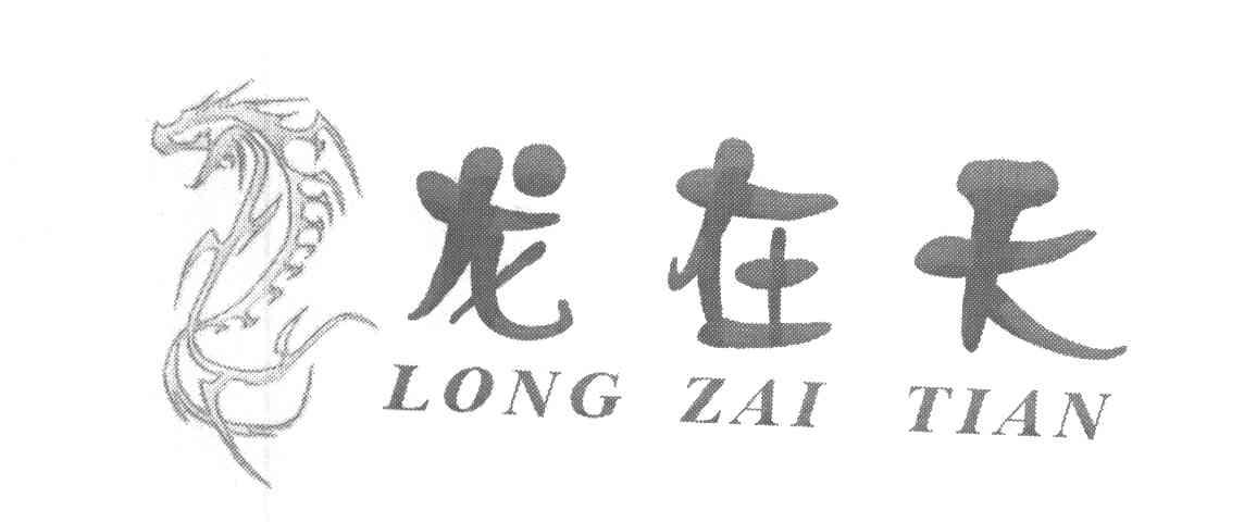 龙在天