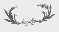 图形