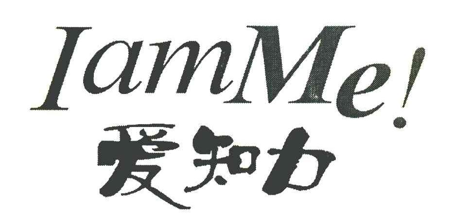 爱知力 IAMME！