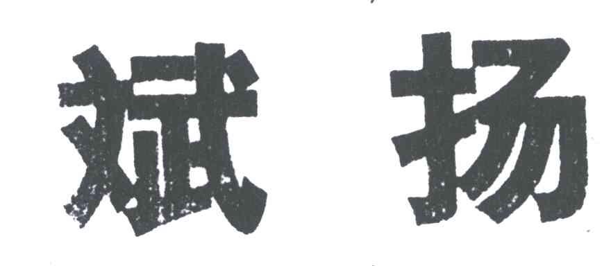 斌扬