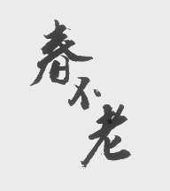 春不老