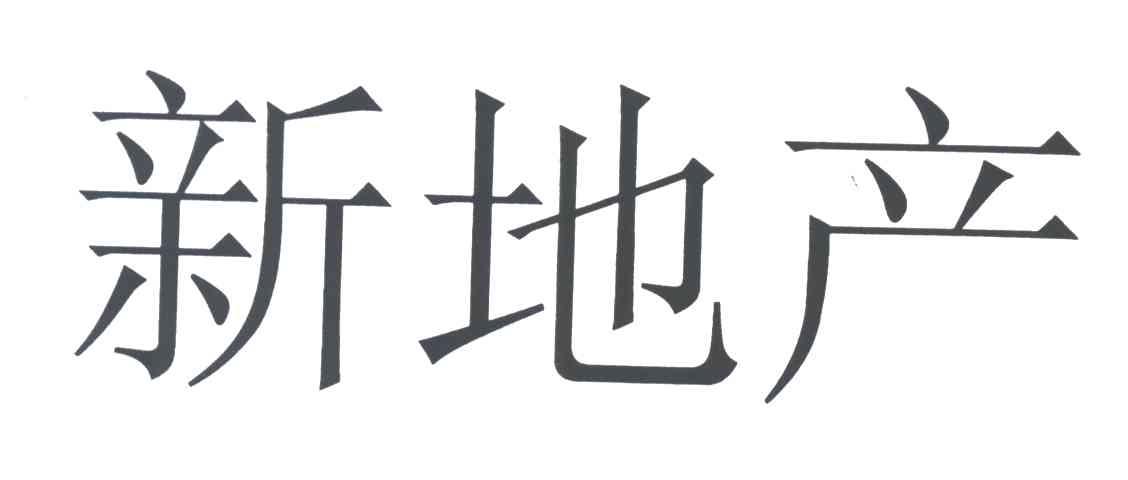 新地产