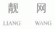 靓网