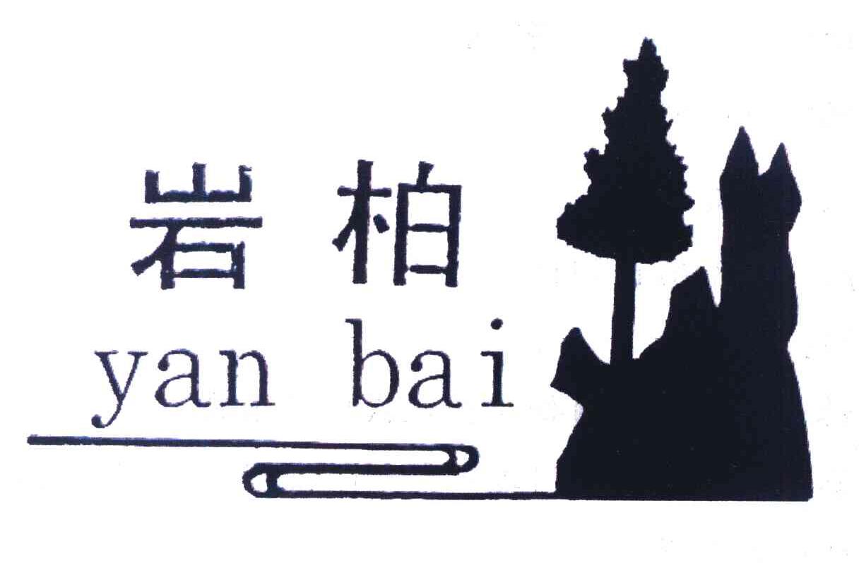 岩柏