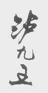 泸九王