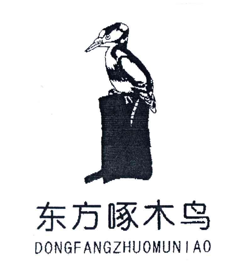 东方啄木鸟