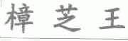 樟芝王
