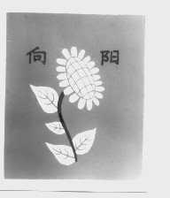 向阳