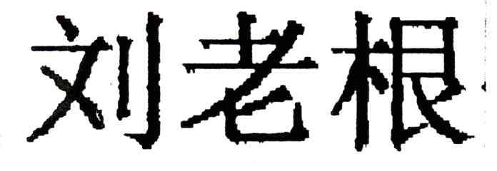 刘老根