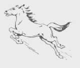 飞马