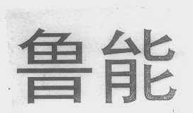 鲁能