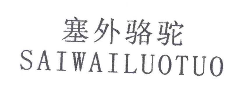塞外骆驼