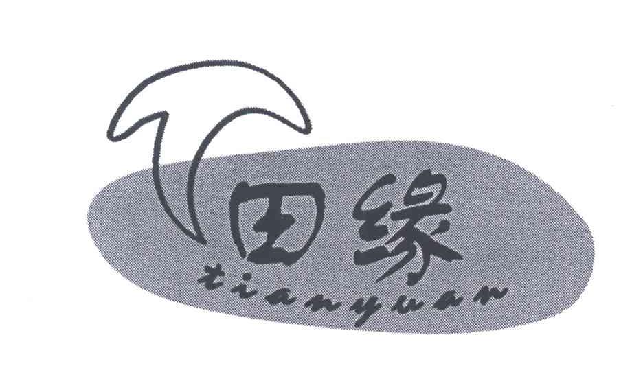 田缘;T
