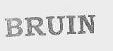 BRUIN