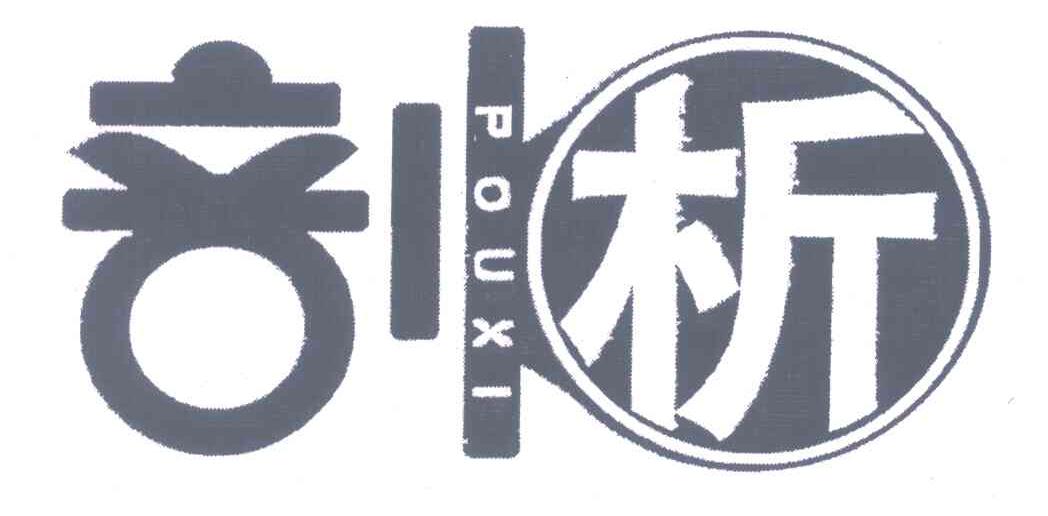 剖析