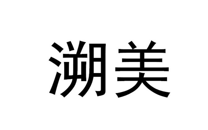 溯美