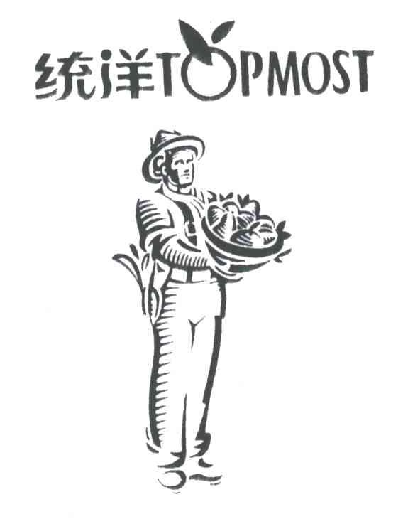 统洋TOPMOST