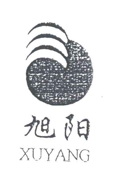 旭阳;XU YANG