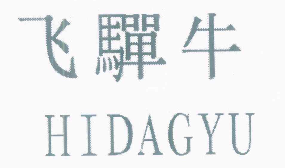 飞驒牛 HIDAGYU