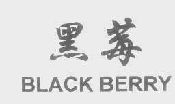 黑莓   BLACK BERRY
