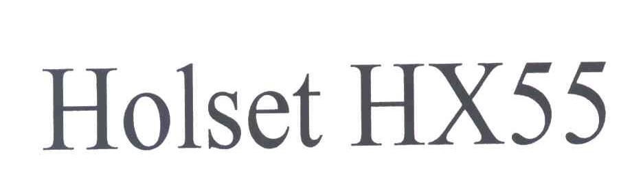 HOLSET HX55