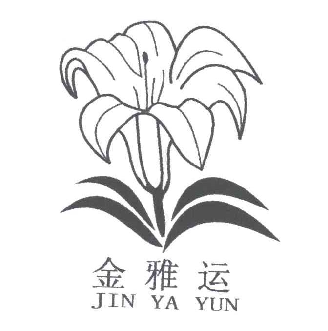 金雅运
