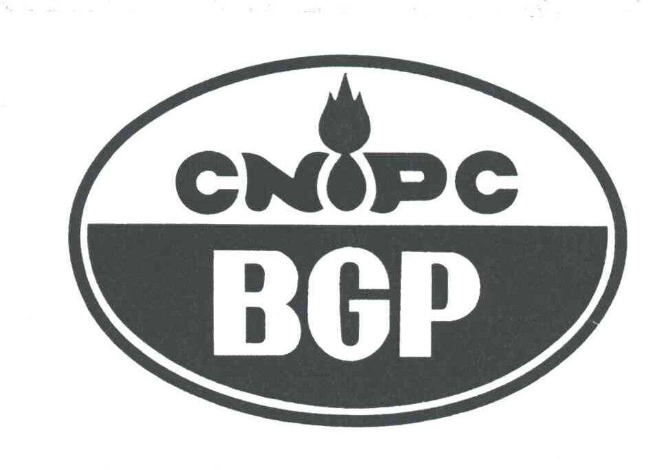 CNIPC BGP