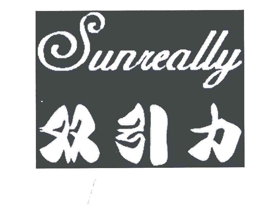 双引力 SUNREALLY