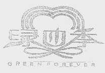 绿四季   GREEN FOREVER