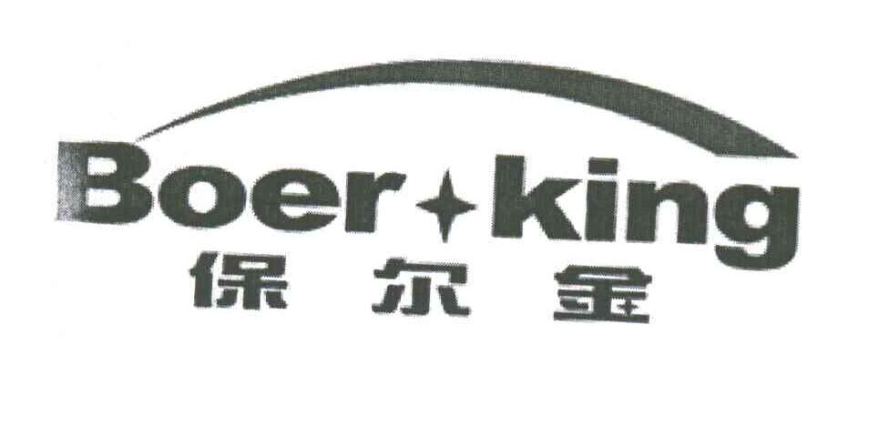 保尔金;BOERKING