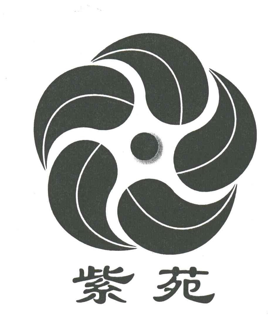 紫苑