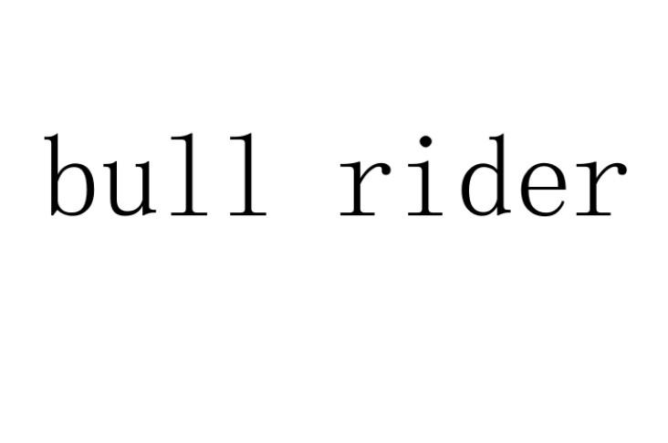 BULL RIDER