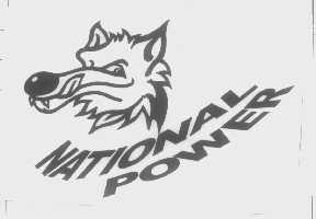 NATIONAL POWER