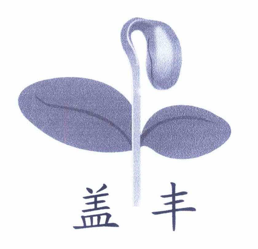 盖丰