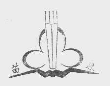 苗康