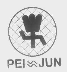 PEI JUN