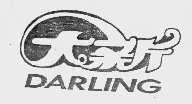DARLING  大新
