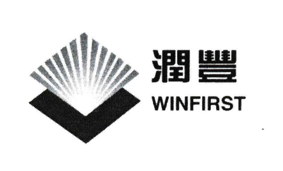 润丰;WINFIRST
