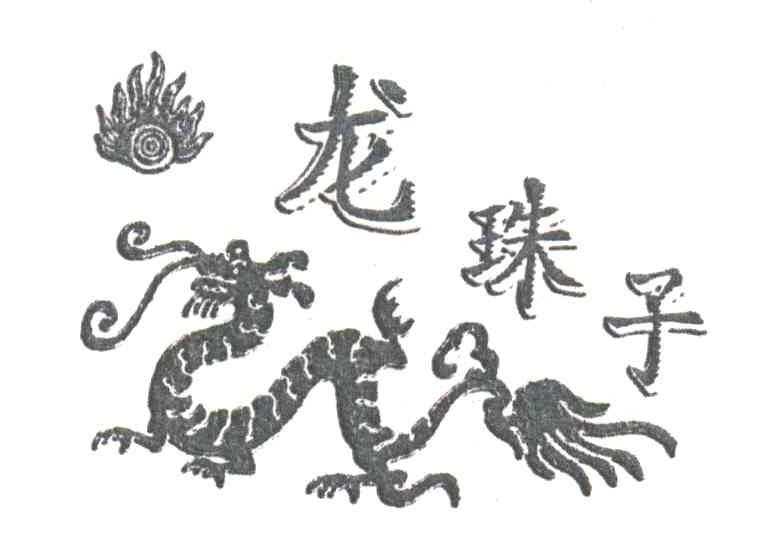 龙珠子