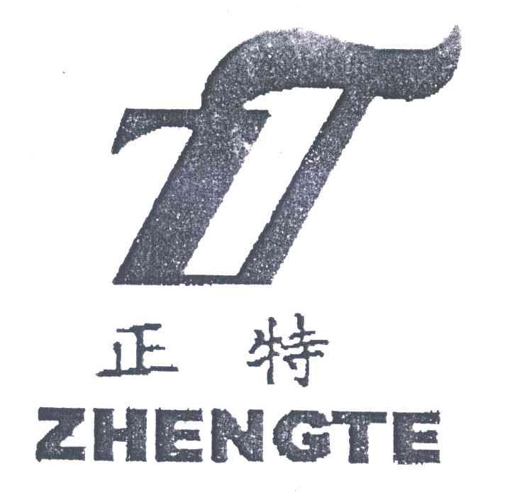 正特