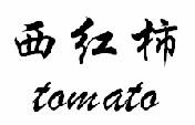 西红柿 TOMATO