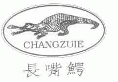 长嘴鳄