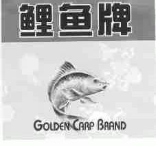鲤鱼;GOLDEN CARP